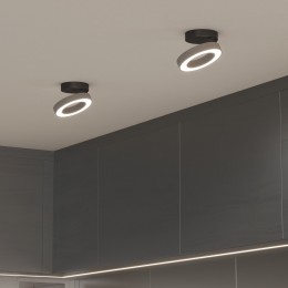 Накладной светодиодный светильник Spila серебро 12W 4200К 25105/LED Elektrostandard
