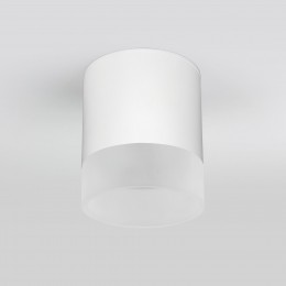 Накладной светодиодный влагозащищенный светильник IP54 35140/H белый Elektrostandard