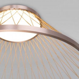 Потолочный светодиодный светильник 40019/1 LED коричневый Eurosvet