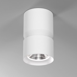 Светильник накладной светодиодный Kayo 12W 4000К белый 25049/LED Elektrostandard