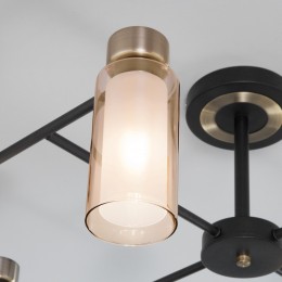 Потолочная люстра со стеклянными плафонами 70115/8 черный Eurosvet