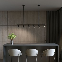 Потолочный светильник 20252/6 LED черный Eurosvet