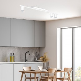 Потолочный светильник 4570 Logan White TK Lighting