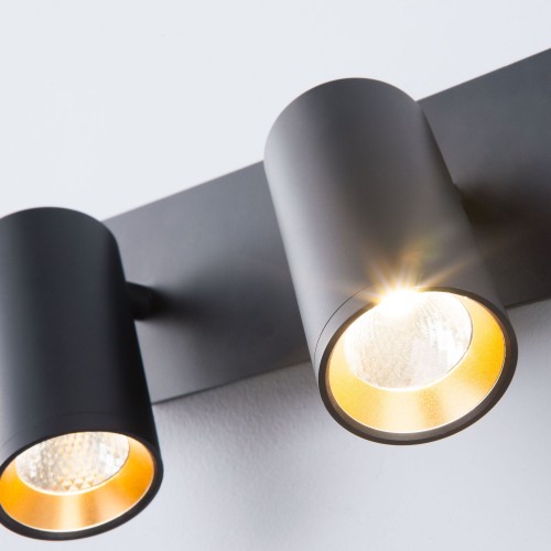 Светодиодный настенный светильник с поворотными плафонами 20066/2 LED черный/золото Eurosvet