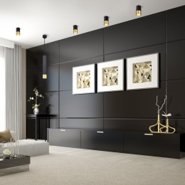 Накладной потолочный светильник DLN106 GU10 Elektrostandard