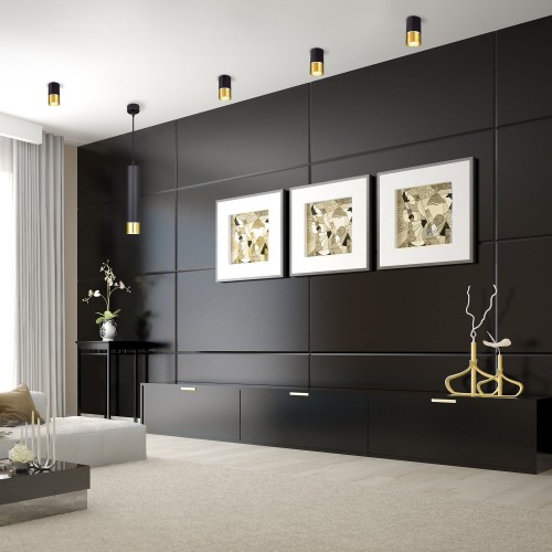 Накладной потолочный светильник DLN106 GU10 Elektrostandard