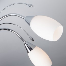 Потолочная люстра со стеклянными плафонами 22080/6 хром Eurosvet