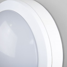 Пылевлагозащищенный светодиодный светильник 6500К LTB51 белый Elektrostandard