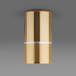 Накладной потолочный светильник DLN106 GU10 Elektrostandard