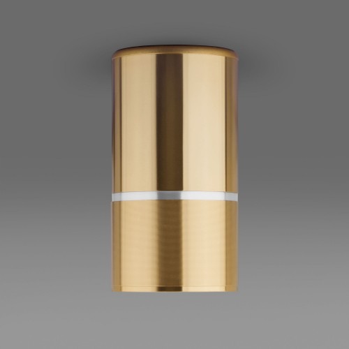 Накладной потолочный светильник DLN106 GU10 Elektrostandard