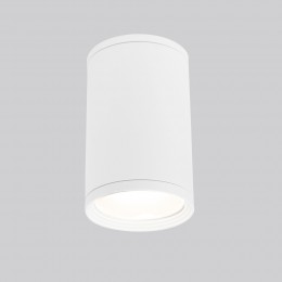 Накладной влагозащищенный светильник IP65 35128/H белый Elektrostandard