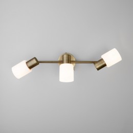 Настенный светильник со стеклянными плафонами 20089/3 бронза Eurosvet