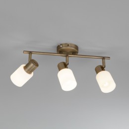 Настенный светильник со стеклянными плафонами 20089/3 бронза Eurosvet