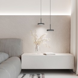 Подвесной светильник Plate 14W 4000K графит 50260 LED Elektrostandard
