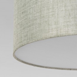 Потолочный светильник 4660 Earth TK Lighting