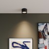 Светильник потолочный светодиодный Banti 13W 4200K черный 25123/LED Elektrostandard