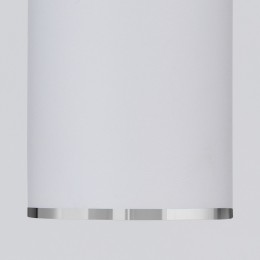 Накладной акцентный светильник DLN101 GU10 WH белый Elektrostandard