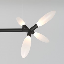 Потолочный светильник 30180 черный Eurosvet