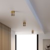 Светильник потолочный светодиодный 10W 4000К латунь/дымчатый 25047/LED Elektrostandard