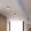 Светильник потолочный светодиодный 10W 4000К латунь/прозрачный 25047/LED Elektrostandard