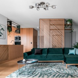 Потолочная люстра со стеклянными плафонами 30165/6 черный жемчуг Eurosvet