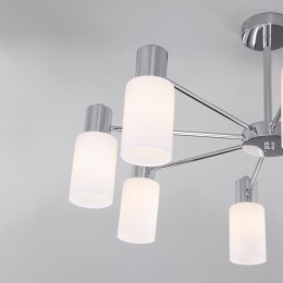Потолочная люстра со стеклянными плафонами 70160/8 хром Eurosvet