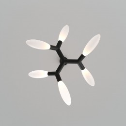 Потолочный светильник 30180/6 черный Eurosvet