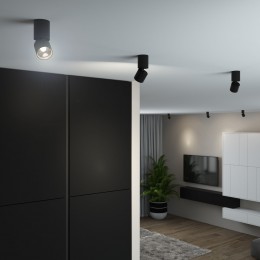 Светильник потолочный светодиодный Sens 10W 4000K чёрный 25042/LED Elektrostandard
