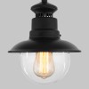 Talli H черный уличный подвесной светильник IP44 GL 3002H Elektrostandard