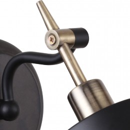 Настенный светильник 2197-1W