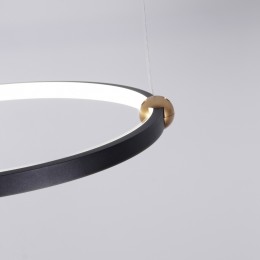 Подвесная люстра 4569-2P