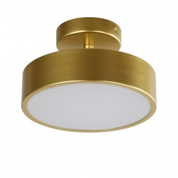 Потолочный светильник 3059-2P