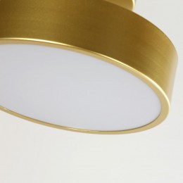 Потолочный светильник 3059-2P