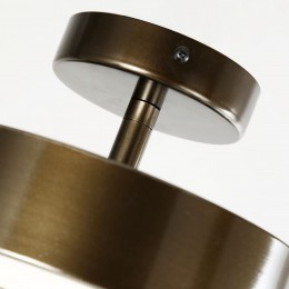 Потолочный светильник 3060-2P