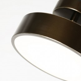 Потолочный светильник 3060-2P