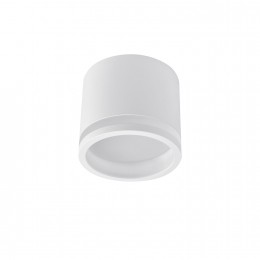 Потолочный светильник 4213-1C