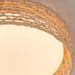 Потолочный светильник 4749-4C