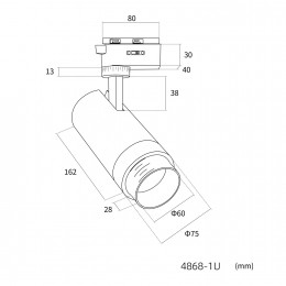 Светильник для трековой системы Practica 4868-1U