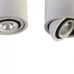 Потолочный светильник 1774-1C