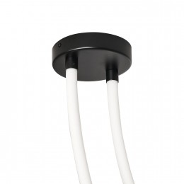 Потолочный светильник 4217-2U