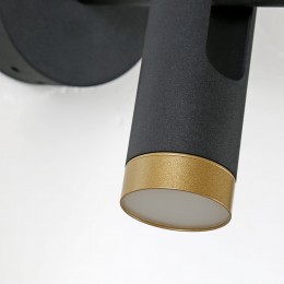 Настенный светильник 2324-2W