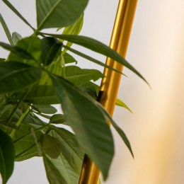 Настенный светильник 4050-1W