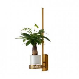 Настенный светильник 4050-1W