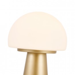 Настольный светильник 4450-1T