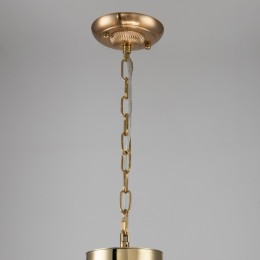 Подвесная люстра 2689-6P