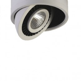 Потолочный светильник 1775-1C