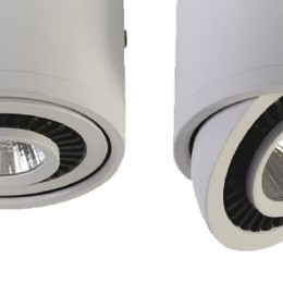 Потолочный светильник 1775-1C