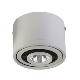 Потолочный светильник 1776-1C