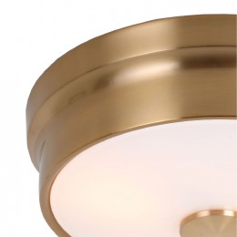 Потолочный светильник 2375-2C