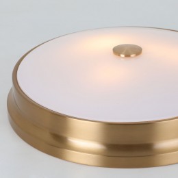 Потолочный светильник 2375-3C